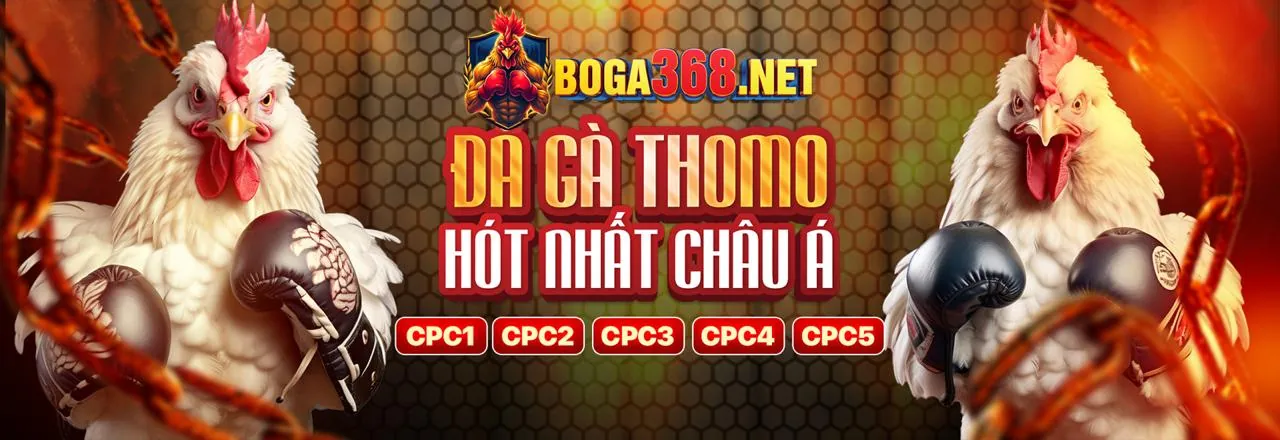 Đá gà trực tuyến kịch tính tại acb88 uy tín